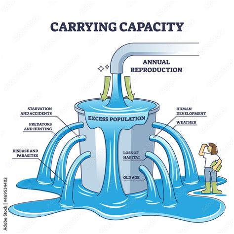 Carrying capacity example